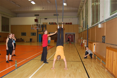 Obrázek v galerii